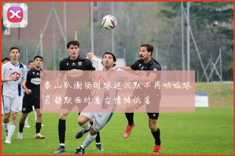 泰山队谢场时球迷沉默不再呐喊球员静默面对看台情绪低落